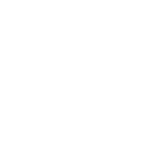 Nierle Concept